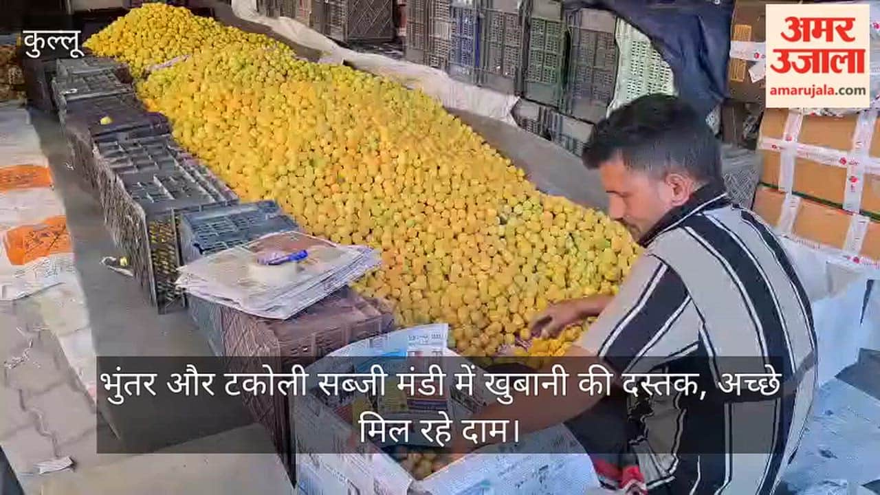 Apricots Arrive at Bhuntar and Takoli Vegetable Markets; Fetching Good Prices