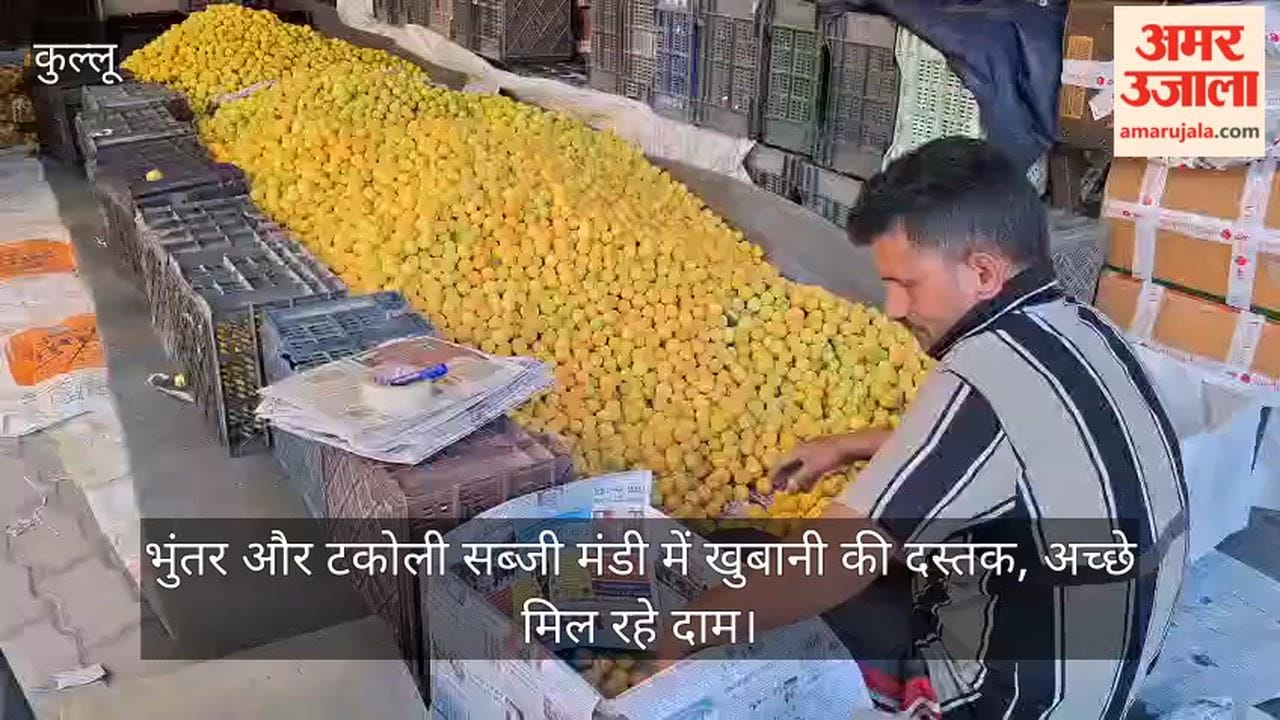 Apricots Arrive at Bhuntar and Takoli Vegetable Markets; Fetching Good Prices