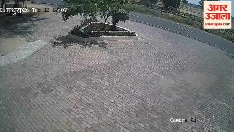 Video:एक गलती और पलट गया भारी-भरकम कैंटर; चालक की मौत; Cctv में कैद हुआ ...