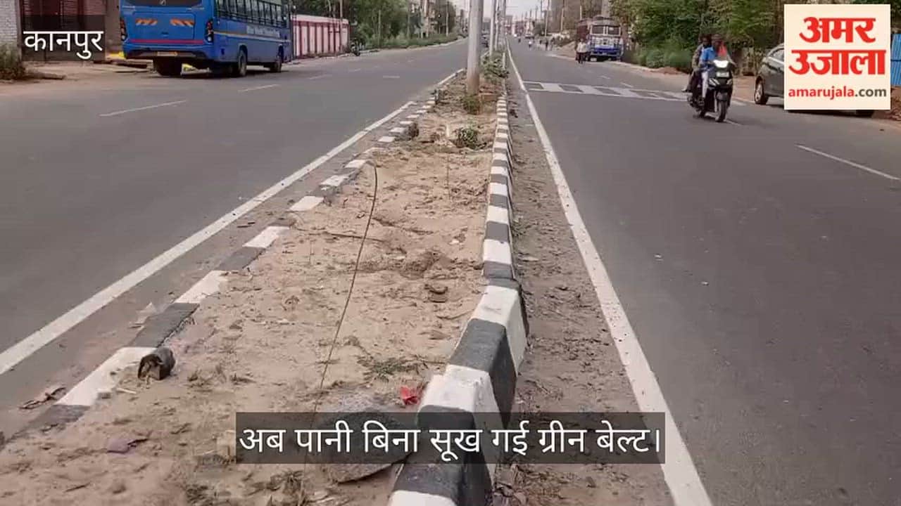 Kanpur Saplings on Barrage Road Wither Away Planted Just One Month Ago