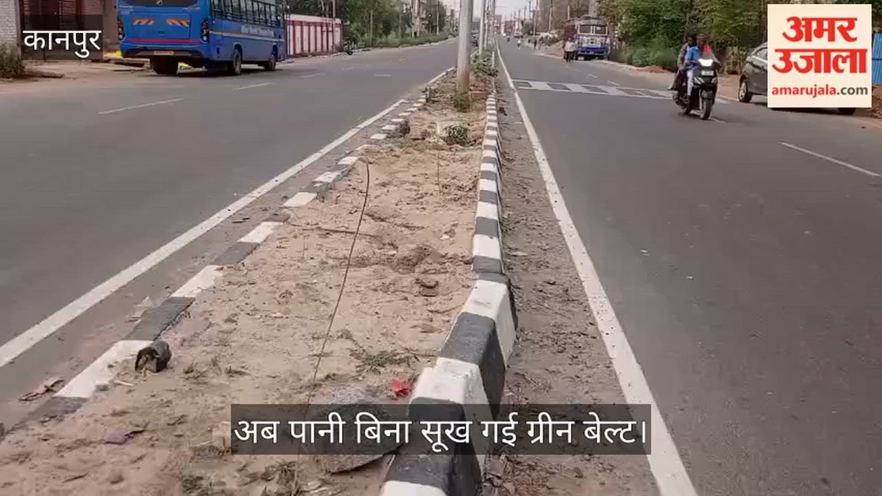 Kanpur Saplings on Barrage Road Wither Away Planted Just One Month Ago