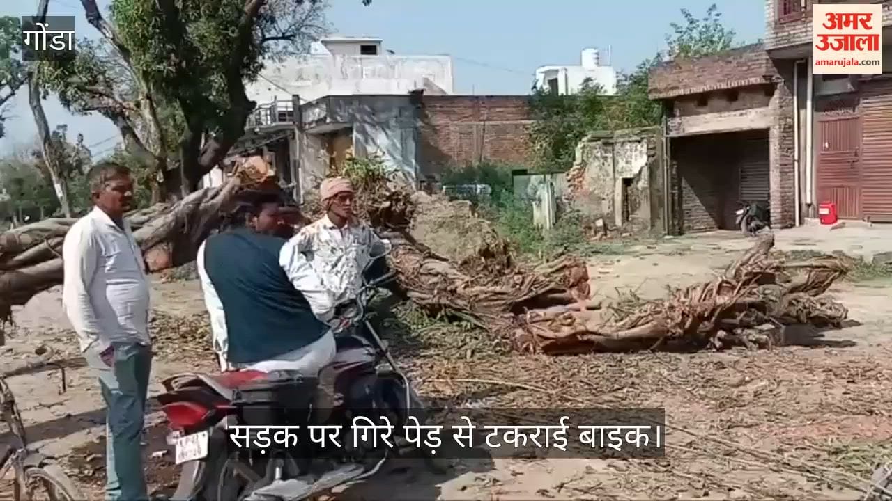 VIDEO: बरात से लौट रहे दो दोस्तों की मौत, सड़क पर गिरे पेड़ से टकराई बाइक