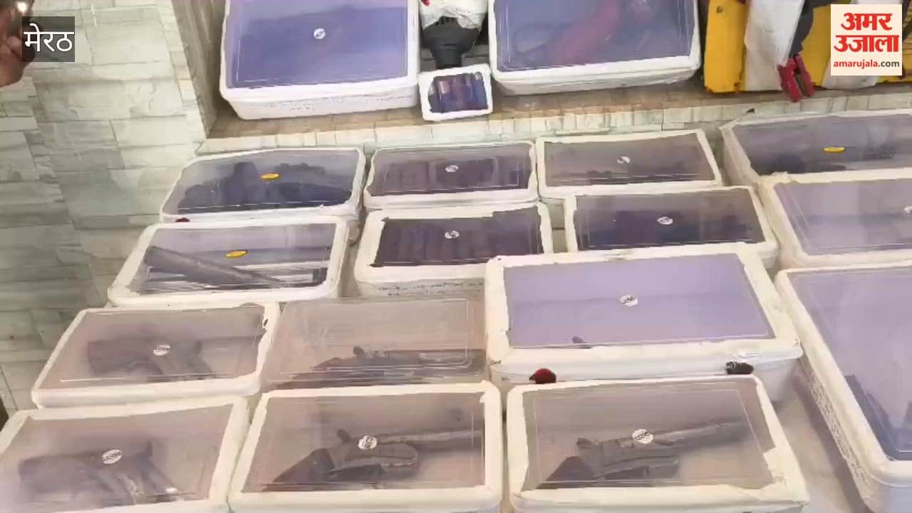 Meerut: Police and SWAT Team Bust Illicit Pistol Factory; Four Accused Arrested, Including a BCA Student