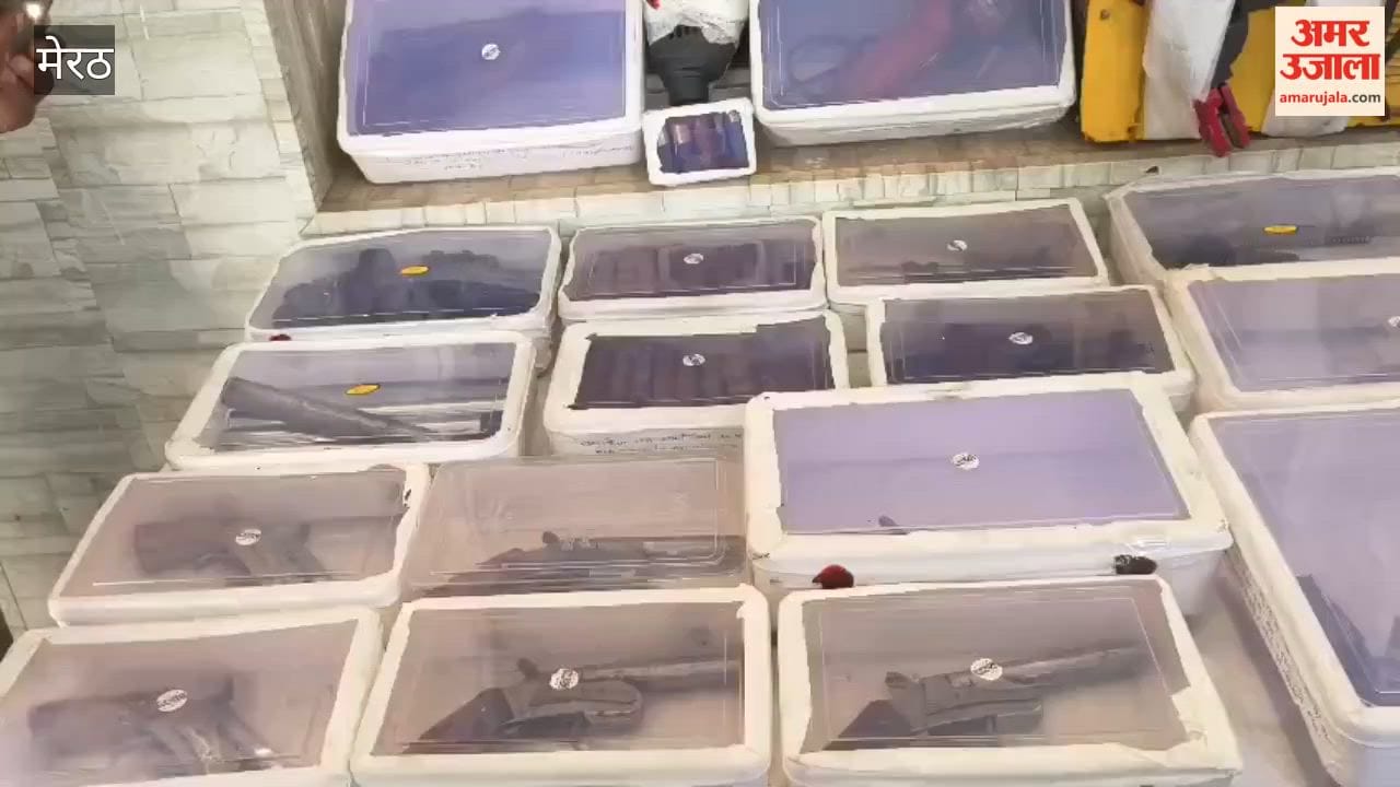 Meerut: Police and SWAT Team Bust Illicit Pistol Factory; Four Accused Arrested, Including a BCA Student