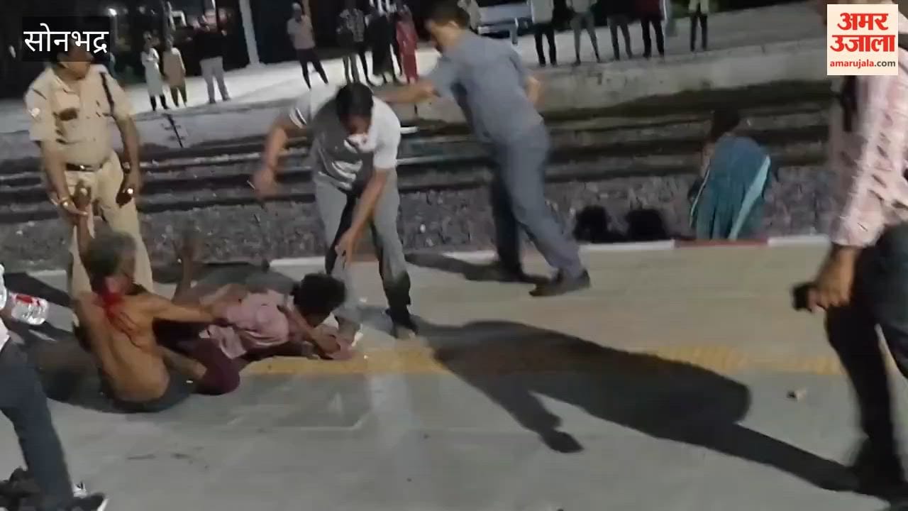 Video of Nomads Being Beaten with Sticks at Sonbhadra Station Goes Viral