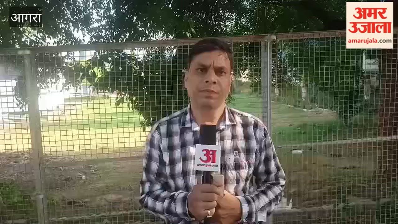 Five accused caught betting on IPL granted bail by court