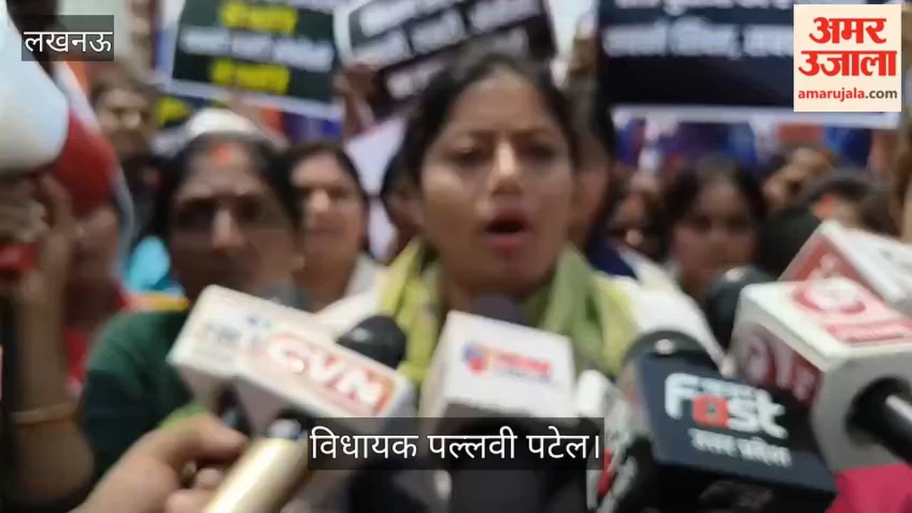 VIDEO: यूजीसी पर विधायक पल्लवी पटेल बोलीं- भाजपा सियारों की पार्टी हैं, इनसे उम्मीद नहीं