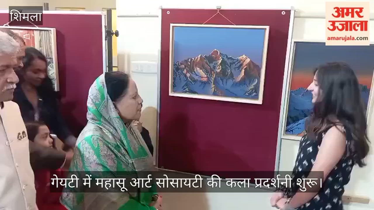 Mahasu Art Society's Art Exhibition Begins at Gaiety; 52 Artists from Across the Country Have Participated.