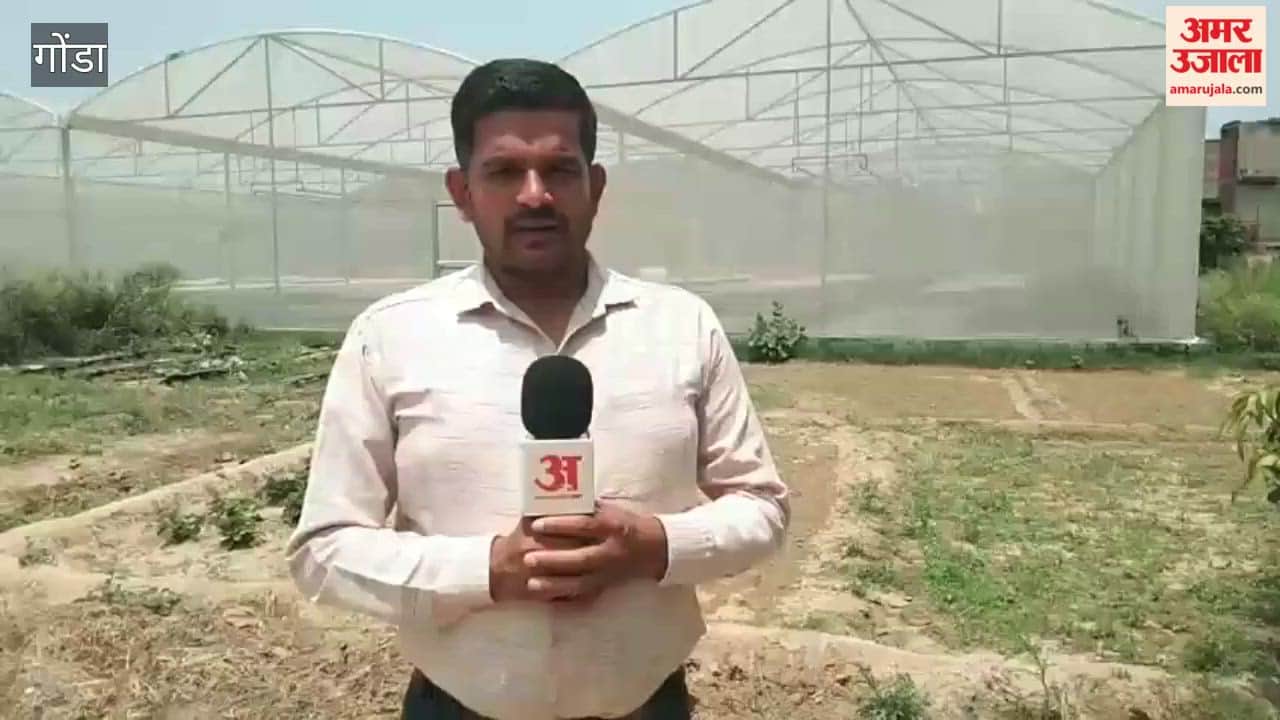 गोंडा में किसानों के लिए बेहद कारगर है हाईटेक नर्सरी, बढ़ेगी आमदनी