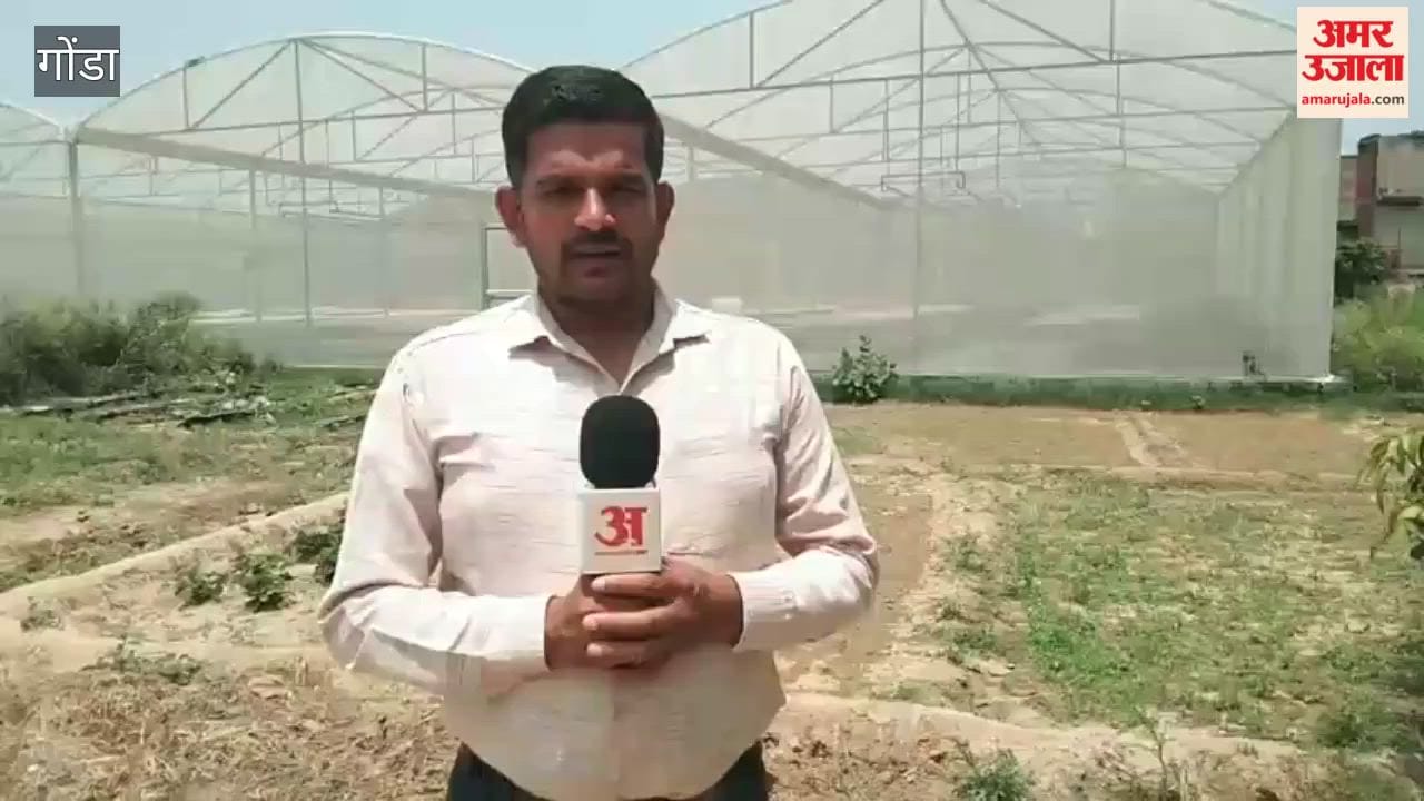 गोंडा में किसानों के लिए बेहद कारगर है हाईटेक नर्सरी, बढ़ेगी आमदनी