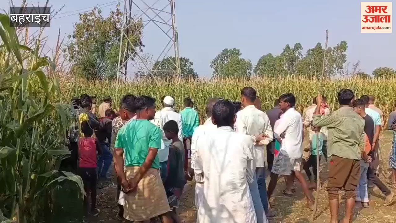 बहराइच में मारपीट के आरोपियों की गिरफ्तारी न होने से आहत युवक बिजली टॉवर पर चढ़ा, काफी देर चला हंगामा