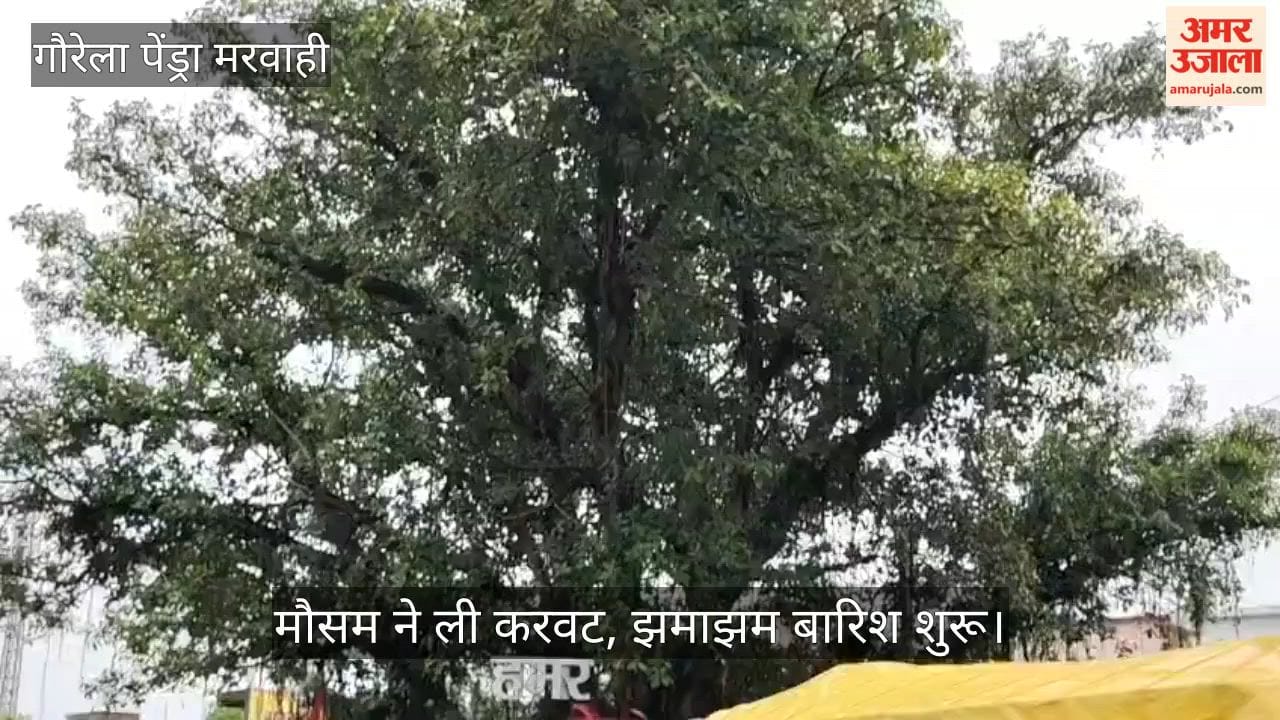 Heavy rain accompanied by strong winds in Gaurela-Pendra-Marwahi today
