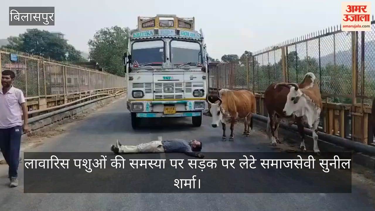 Social worker Sunil Sharma lies on the road to protest the issue of stray animals.