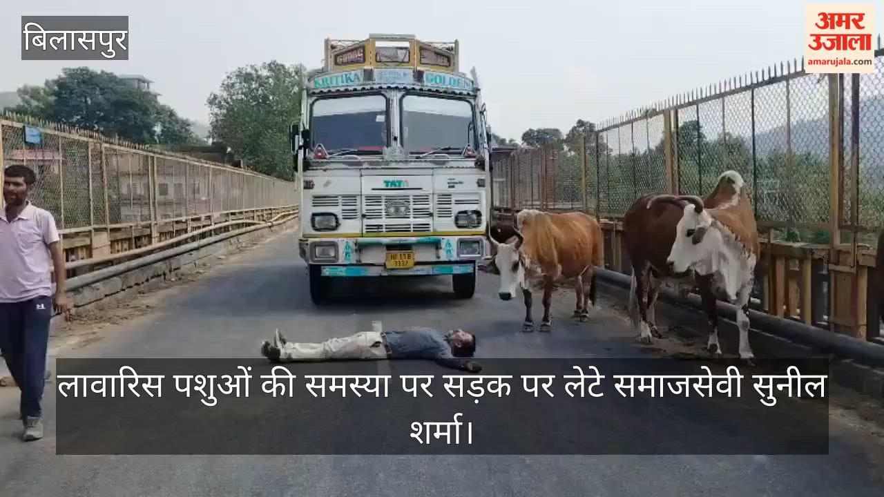 Social worker Sunil Sharma lies on the road to protest the issue of stray animals.