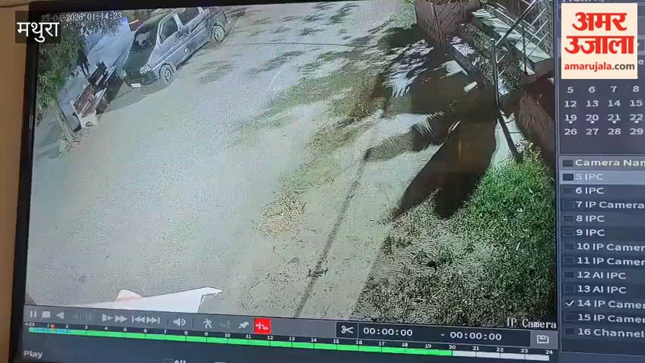 Video of Baveria Gang Criminals in Mathura Robbery Case