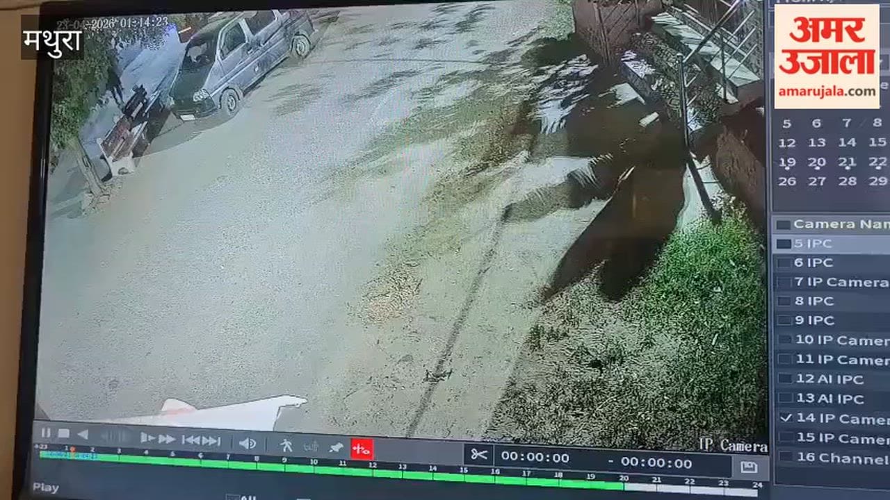 Video of Baveria Gang Criminals in Mathura Robbery Case