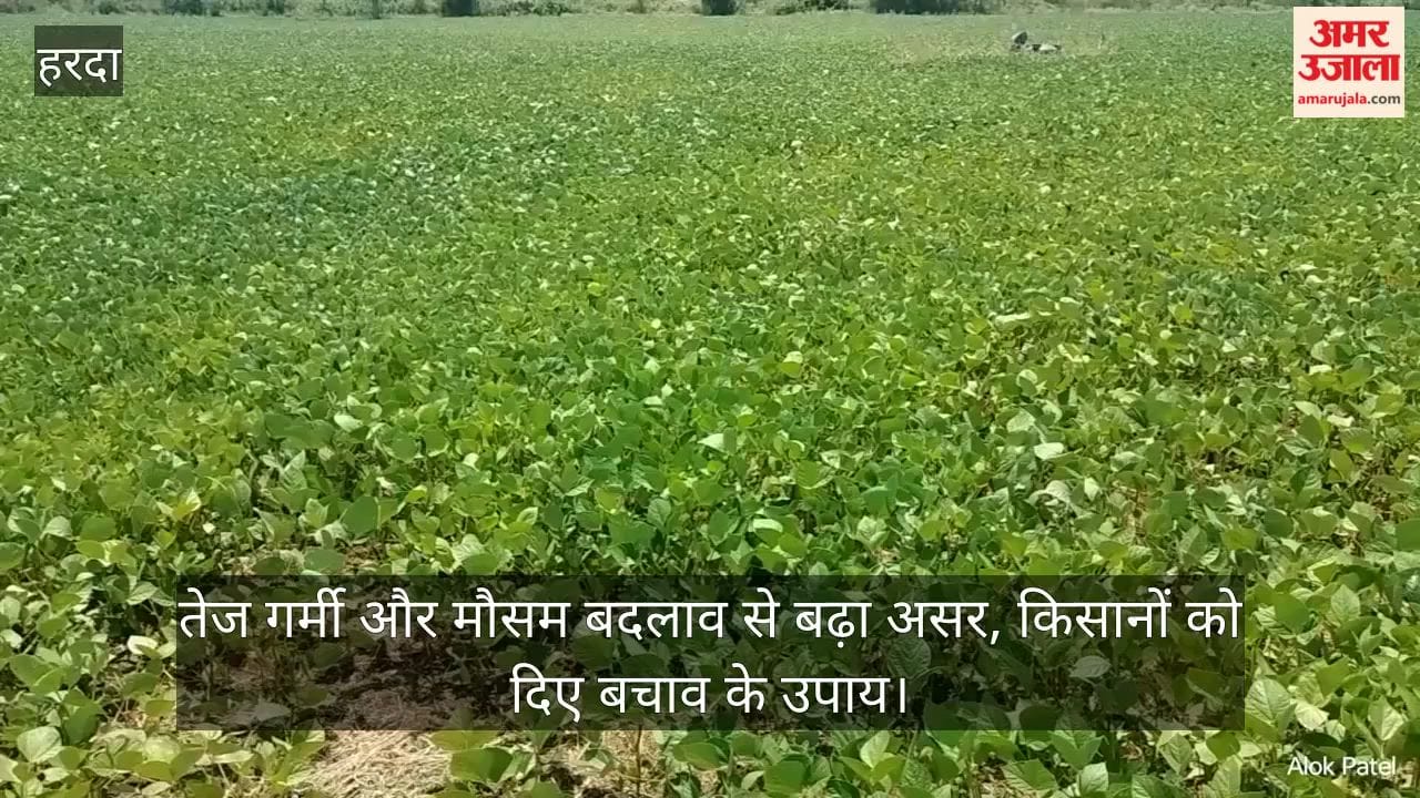 Yellow mosaic threat to mung bean crop, team of scientists reaches the fields
