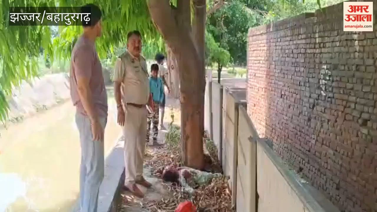 Young Woman Brutally Murdered Near Canal in Bahadurgarh; Male Companion Left Bleeding Profusely Incident Sparks Sensation in Area