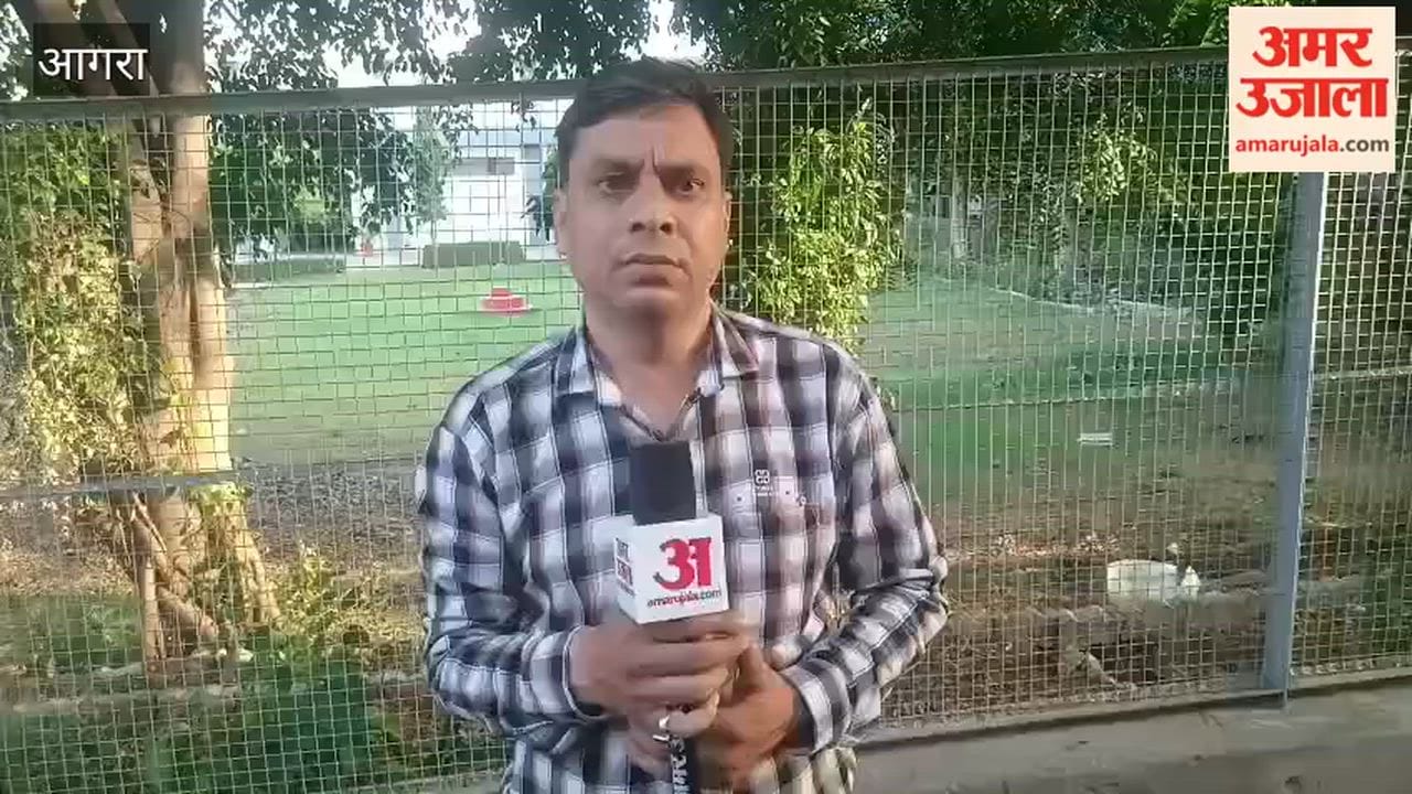 Young Woman Harassed by Molestation Appeals to Police for Help