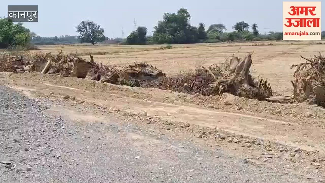 Thousands of Trees Cleared on Saadh-Sacholi Road for Four-Lane Construction
