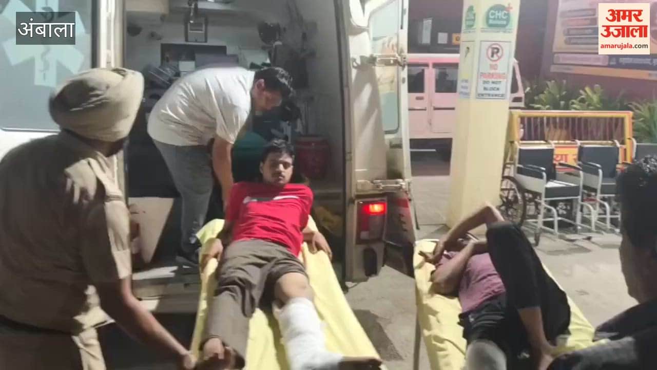 Two Cattle Smugglers Arrested in Ambala Encounter: One Shot in the Leg, the Other Injured After Falling from a Bike