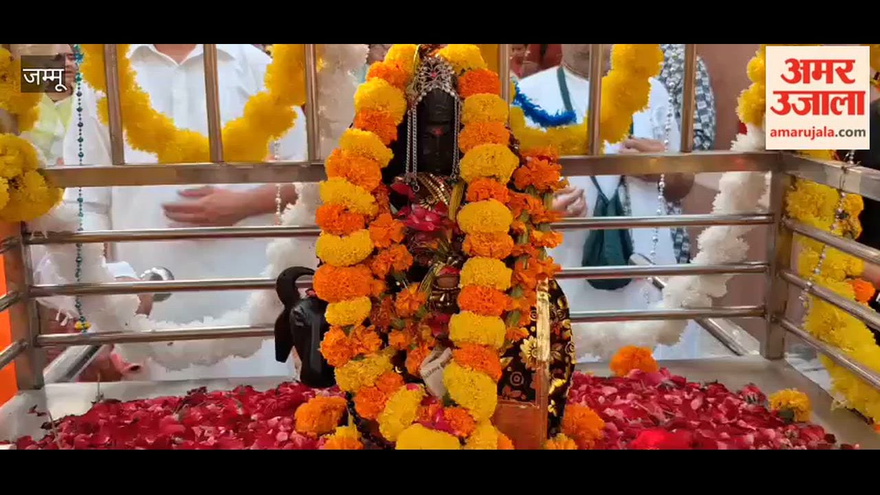 A grand procession was taken out on Shani Jayanti in Samba.