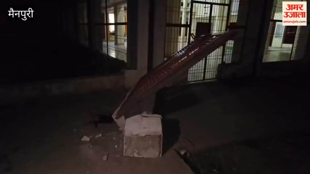 Iron Gate Topples onto Innocent Child Who Visited Ashram with Father Dies