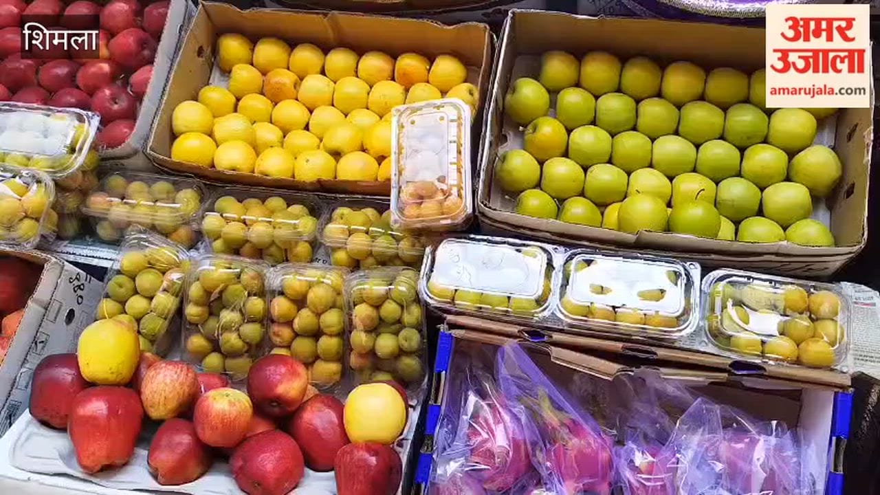 Shimla: Influx of fruits rises at the capital's fruit market; demand for mangoes and Jamun is high