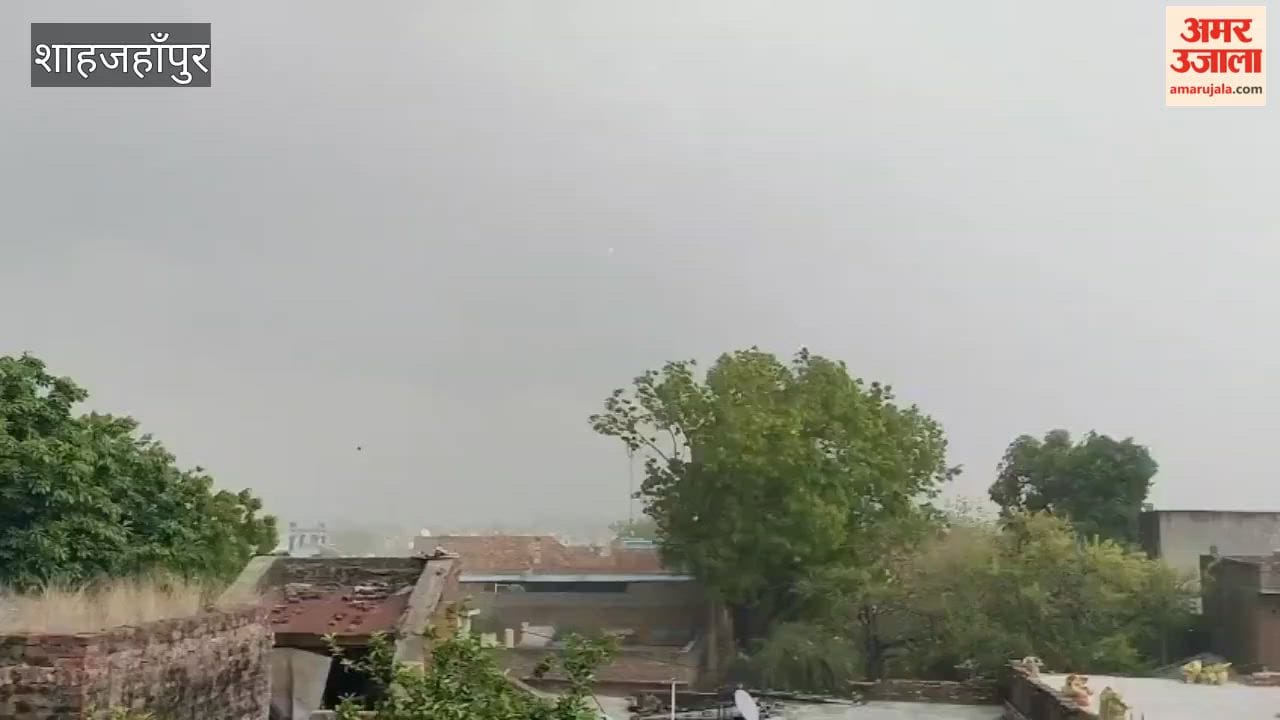 Strong storm uprooted trees and broken poles in Shahjahanpur
