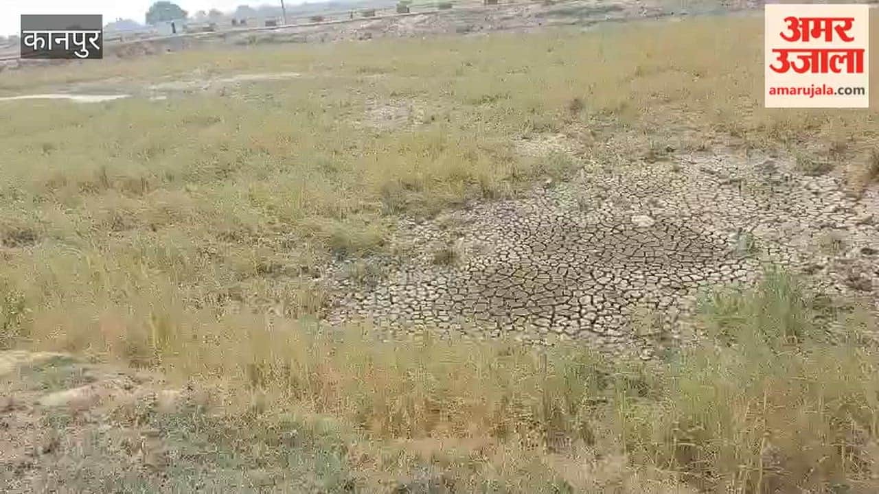 Bhitargaon: Neglect Leads to Waste of Public Funds as Gaurikakra’s ‘Amrit Sarovar’ Falls into Ruin