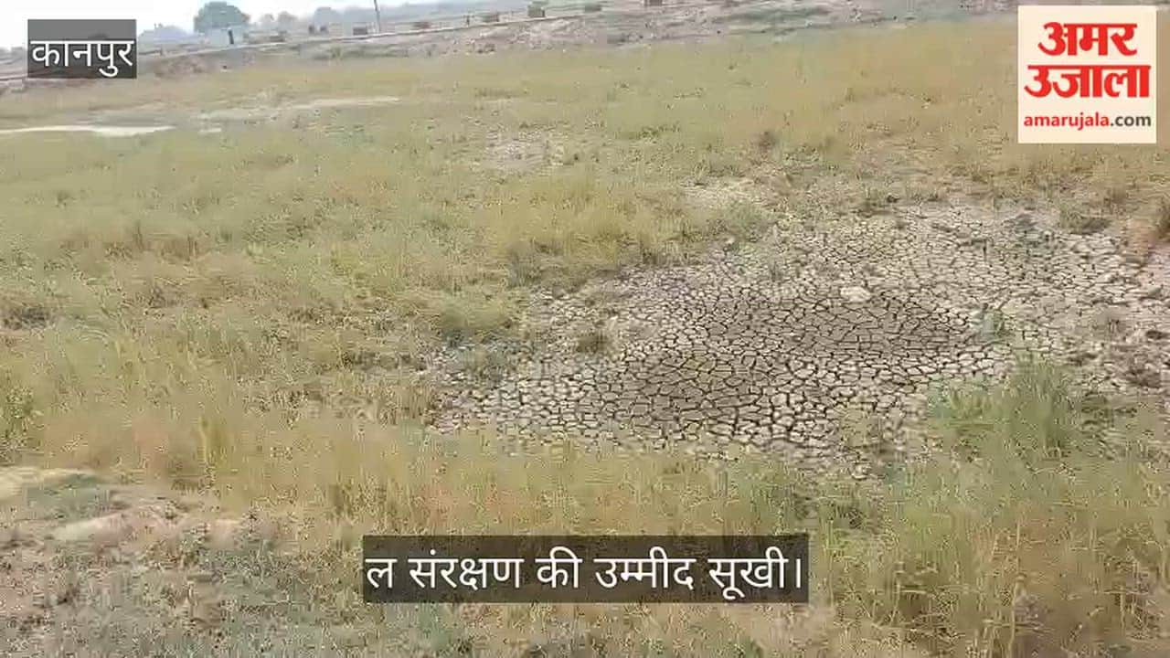 Kanpur Gaurikakra Amrit Sarovar Falls Into Neglect, Turns Into Wasteful Government Project