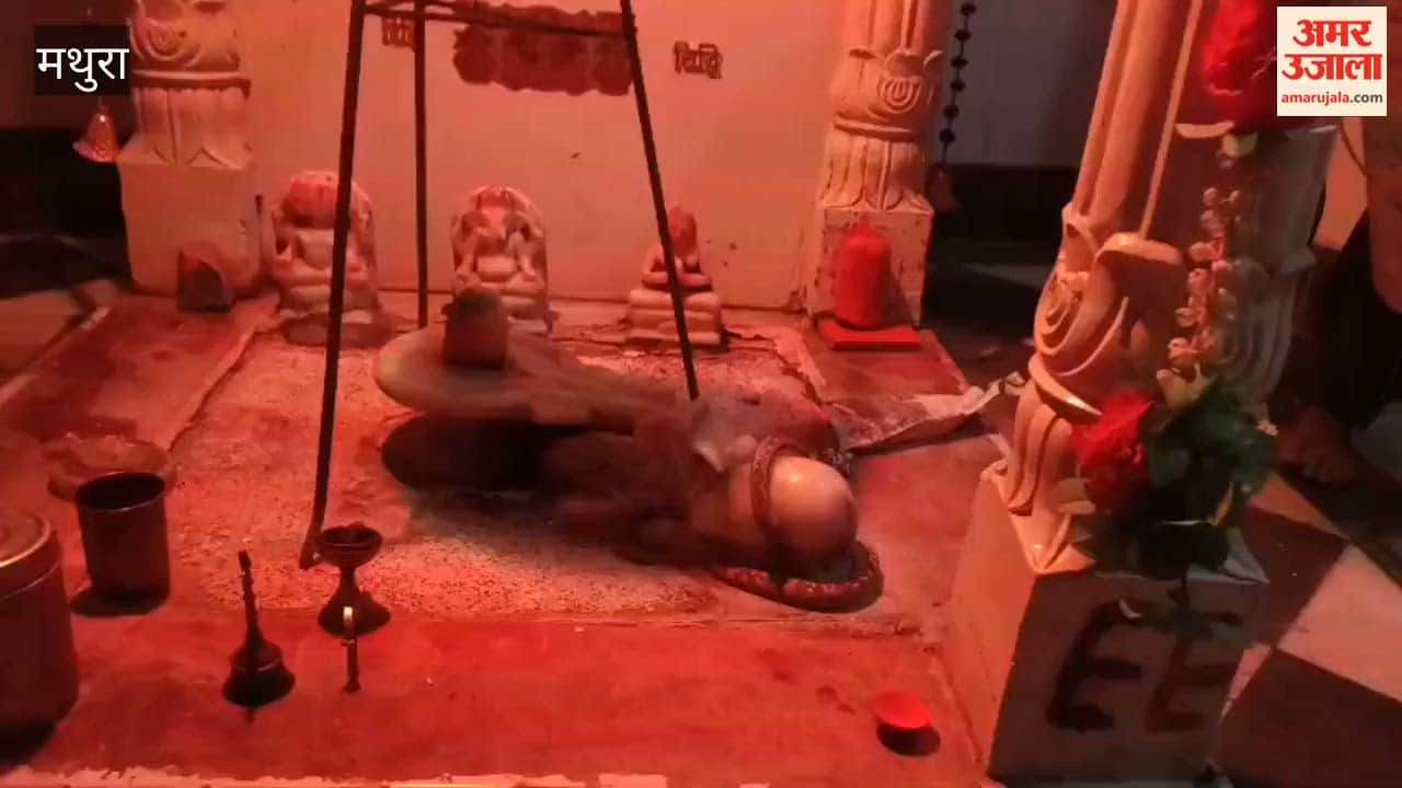 snake remained coiled around Nandi Maharaj at Shiva temple for hours in mathura