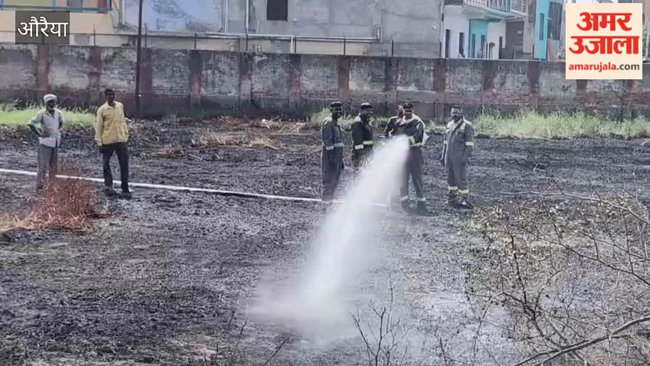 Auraiya: Massive Fire Breaks Out in Mandi Committee Complex; Brought Under Control After Arduous Efforts