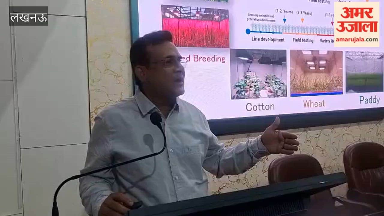 लखनऊ में कपास में लगने वाले पिंक बॉलवर्म गुलाबी सुंडी से बचने के बताए गए उपाय