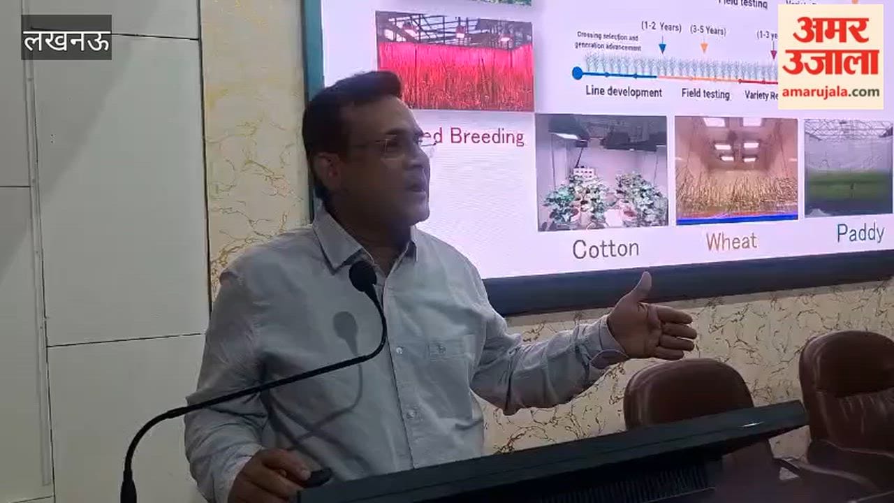 लखनऊ में कपास में लगने वाले पिंक बॉलवर्म गुलाबी सुंडी से बचने के बताए गए उपाय