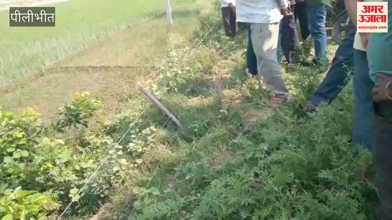 Dead body of a man found lying in a field in Pilibhit