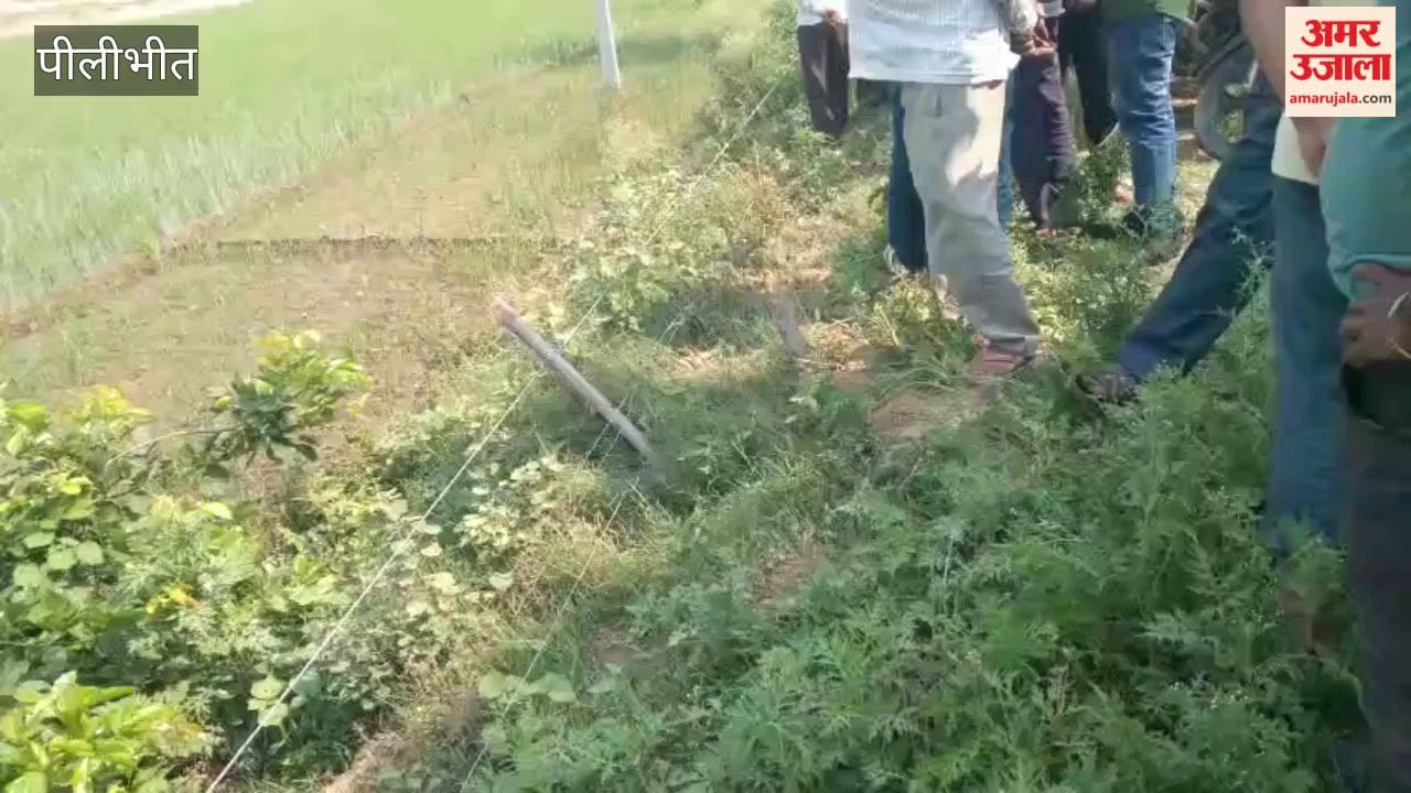 Dead body of a man found lying in a field in Pilibhit