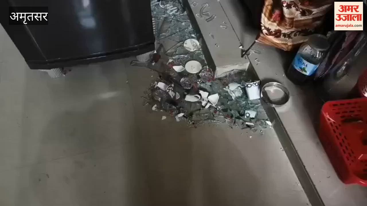 Hooliganism in Kotla Saidan Village, Amritsar: Intruders Break into Home and Attack Family