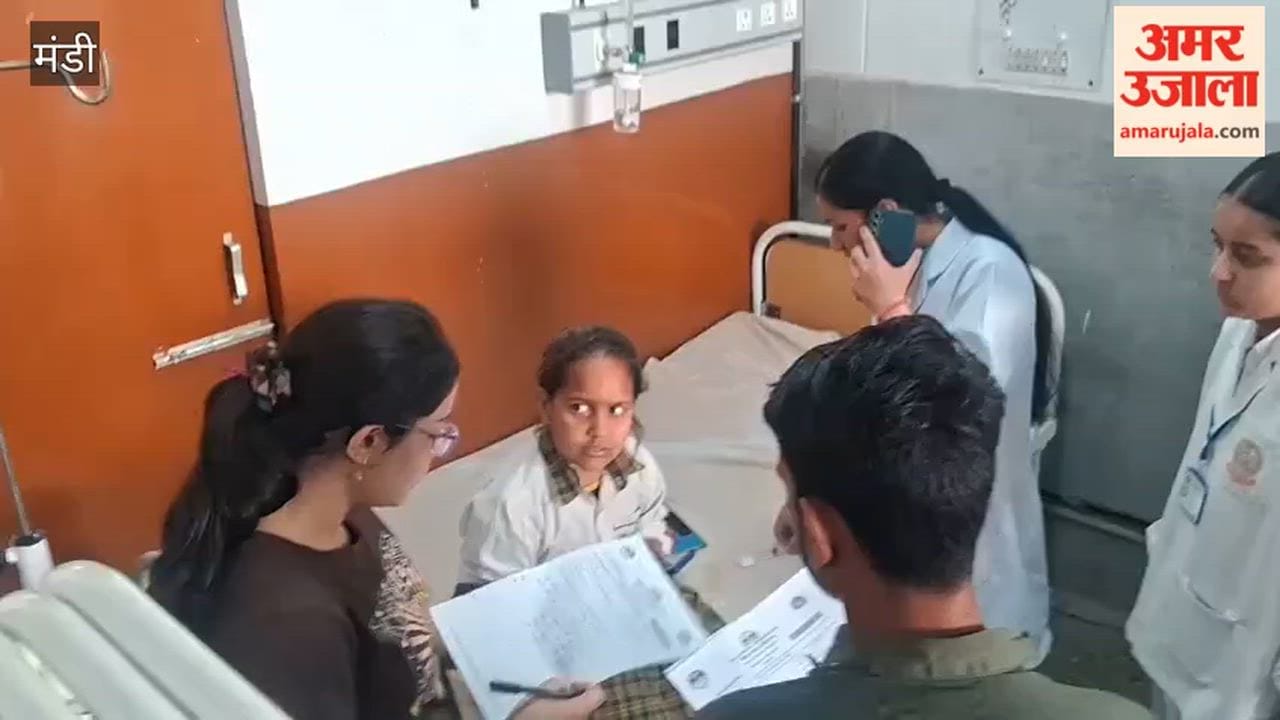 Mandi Mother and Her Two Children Attacked by Hornets While Dropping Kids Off at School; All Three Hospitalized
