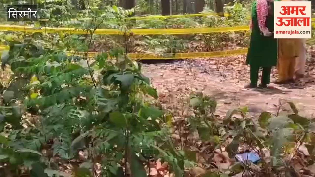 Sirmour: Partially Burnt Body of Woman Found in Forest Near Kolar