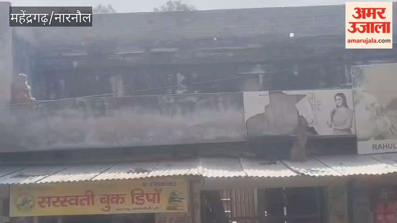 Monkey Menace Escalates in Nangal Chaudhary, Narnaul; Residents Forced to Remain Confined to Their Homes