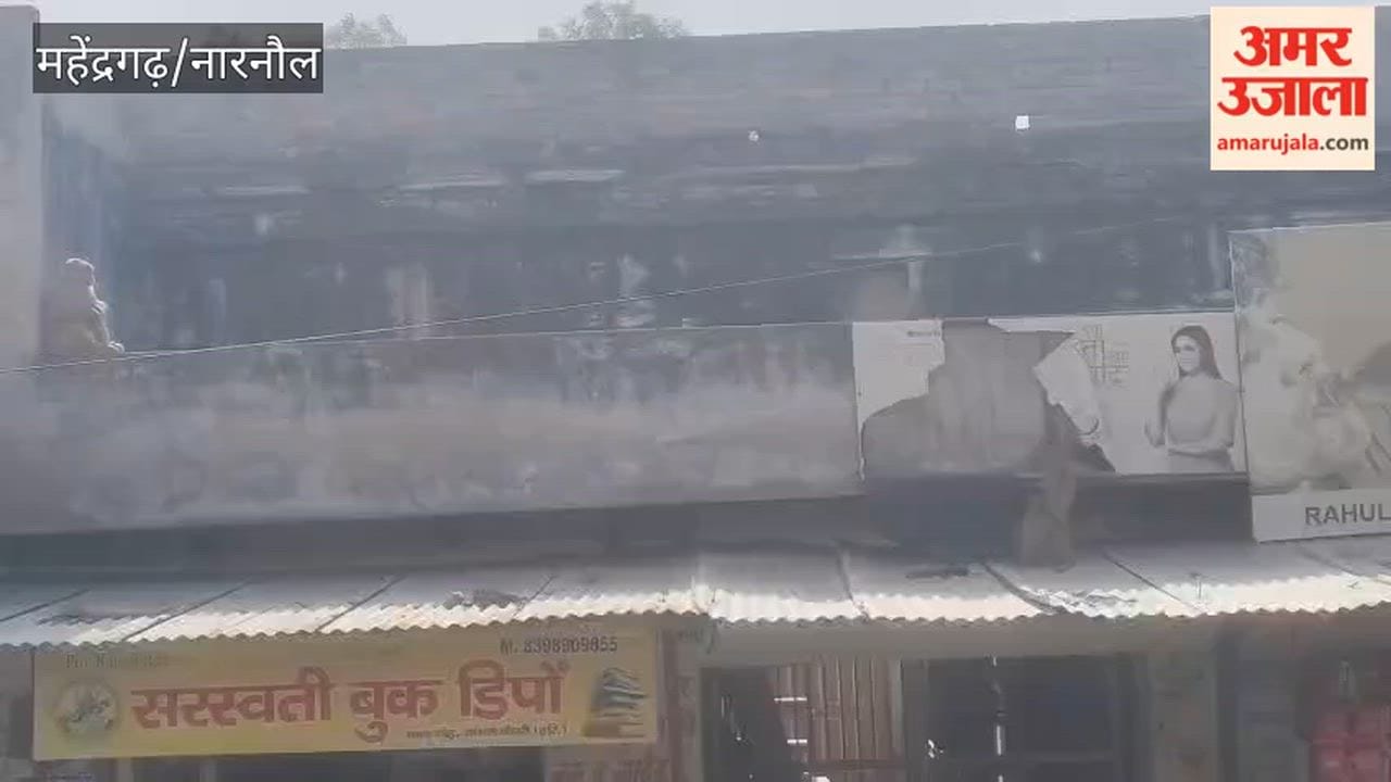 Monkey Menace Escalates in Nangal Chaudhary, Narnaul; Residents Forced to Remain Confined to Their Homes