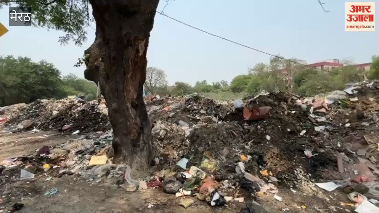 Meerut: Garbage Pile Near Mehtab Cinema Causes Stench, Residents Demand Action