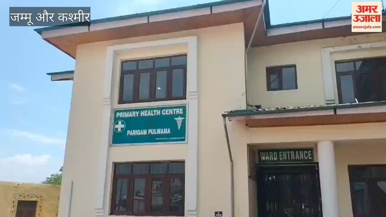 Panic Erupts over Meat in Pulwama; 108 People Administered Anti-Rabies Vaccine
