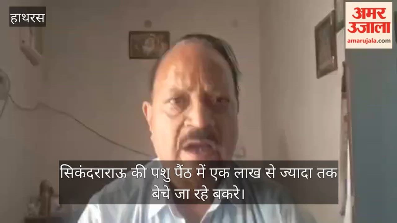 सिकंदराराऊ की पशु पैंठ में एक लाख से ज्यादा तक बेचे जा रहे बकरे