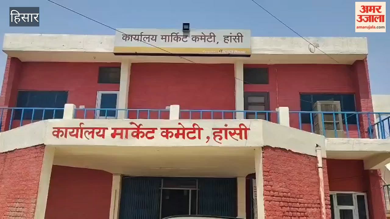 Final Day for Procurement Centers at Hansi Grain Market; Arrivals Up by 3 Lakh Quintals This Season