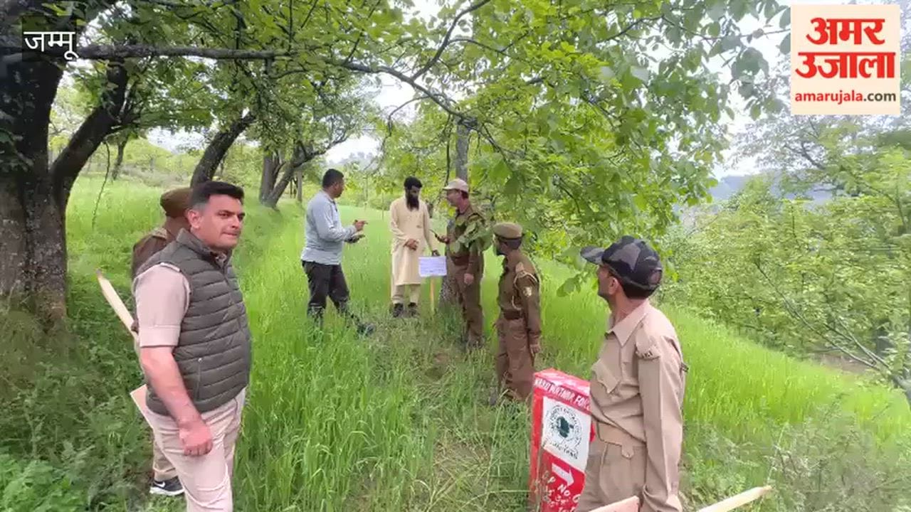 Anantnag Police Strikes Narcotics Ecosystem: 12 Kanals Forest Land