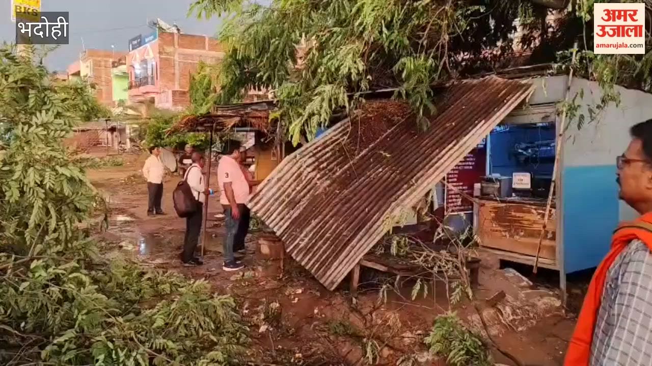 Trees Uprooted by Storm and Rain in Bhadohi, Roads Blocked
