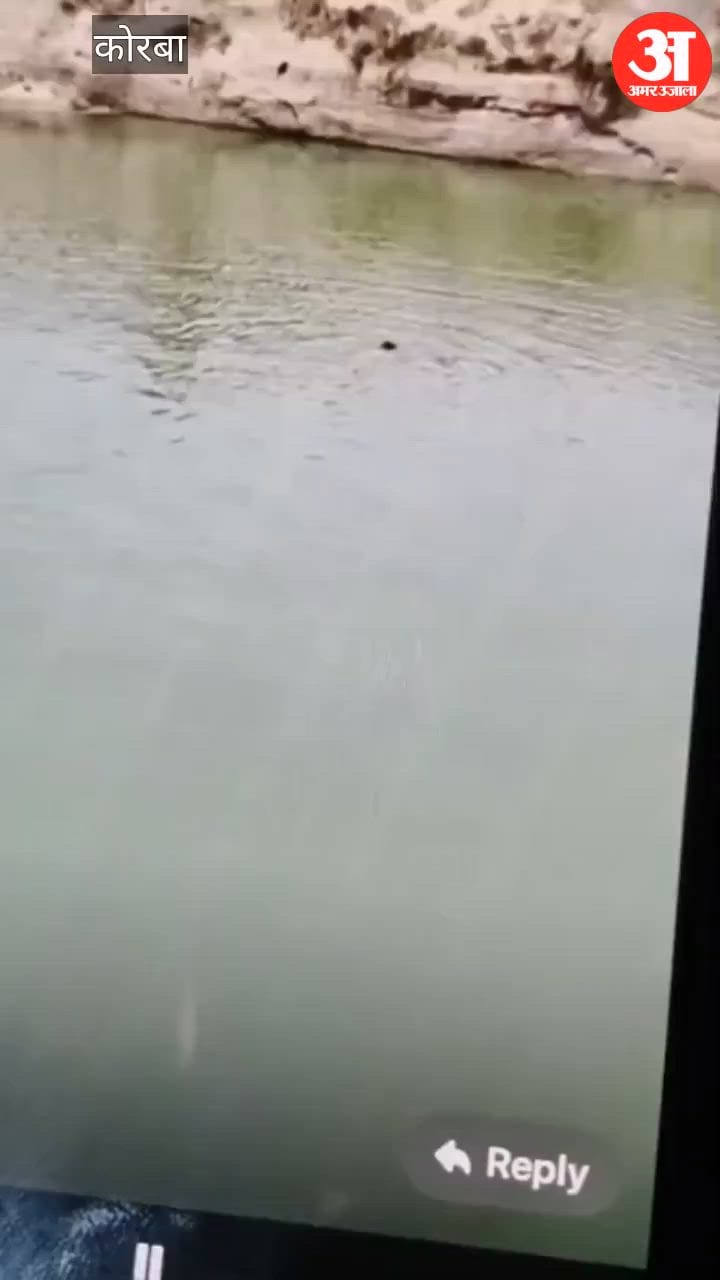 Young Man Dies While Making Reel, Live Video of Death Surfaces, Body Found in Ahiran River After 48 Hours