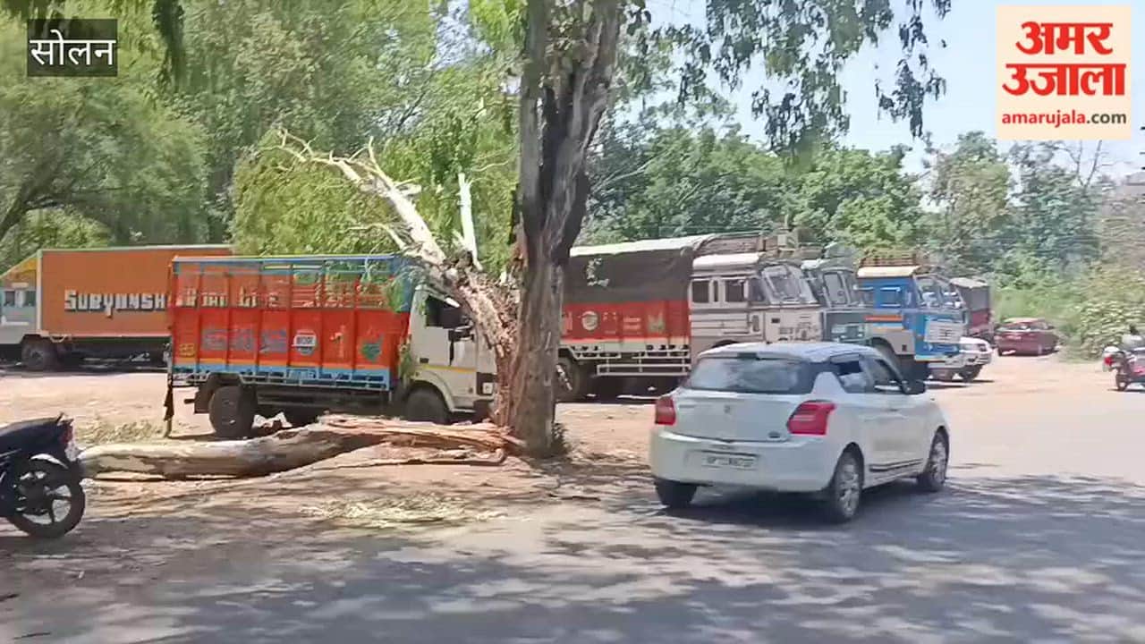 Solan: Storm Wreaks Havoc on Ramshahar Road in Nalagarh; Tempo Severely Damaged as Tree Falls